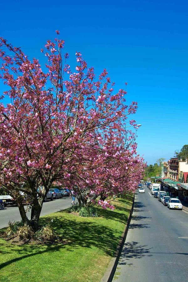 カトゥーンバ Bower Flowerヴィラ エクステリア 写真